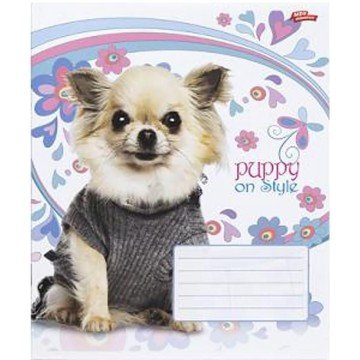 Фото2.Зошит кольоровий 12 аркушів, клітинка (20 штук в упаковці)