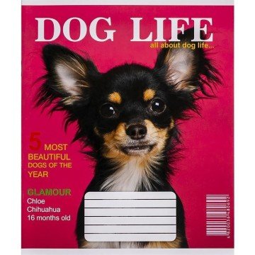 Фото2.Зошит кольоровий 12 аркушів, клітинка (20 штук в упаковці)