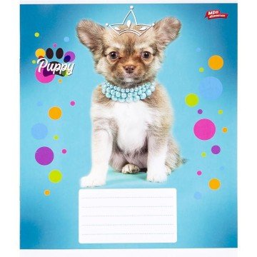 Фото2.Зошит кольоровий 12 аркушів, клітинка (20 штук в упаковці)