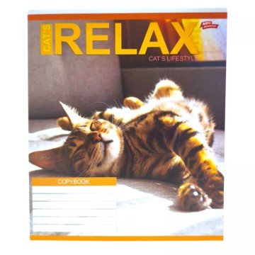 Фото2.Зошит кольоровий 24 аркушів, лінія (16 штук в упаковці)