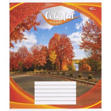 Фото2.Зошит кольоровий 24 аркушів, клітинка (16 штук в упаковці)