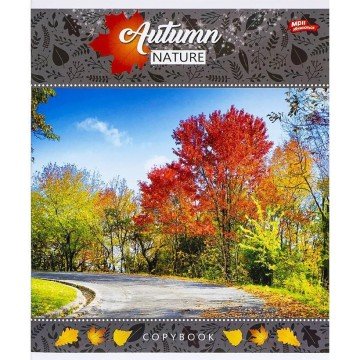 Фото2.Зошит кольоровий 24 аркушів, клітинка (16 штук в упаковці)