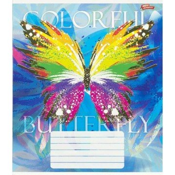 Фото2.Зошит кольоровий 24 аркушів, клітинка (16 штук в упаковці)