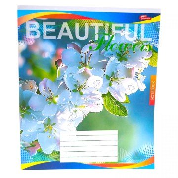 Фото2.Зошит кольоровий 48 аркушів, клітинка (16 штук в упаковці)