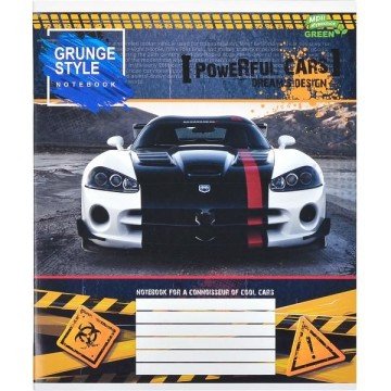 Фото2.Зошит кольоровий 48 аркушів, клітинка (16 штук в упаковці)