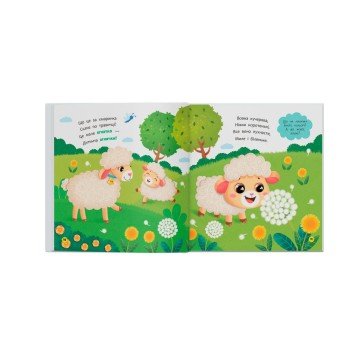 Фото2.Книга 