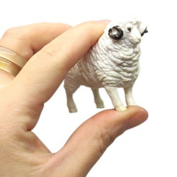 Фото3.Набір тварин (11 елементів, 8 тварин, аксесуари) в пакеті