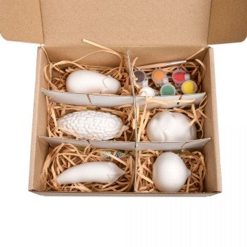 Фото3.Набір для творчості 