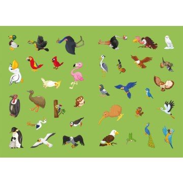 Фото3.Книга 