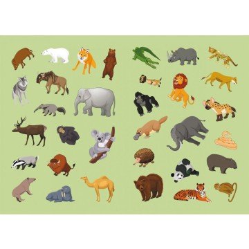 Фото3.Книга 