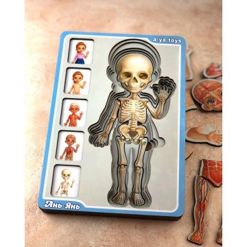 Фото3.Сортер- пазл 