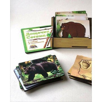 Фото3.Дощечки Сегена 