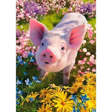 Фото3.Пазли 