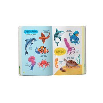 Фото3.Книга 