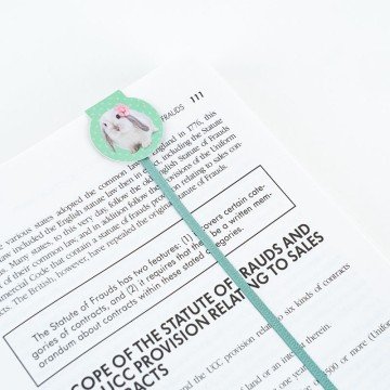 Фото3.Набір магнітних закладок-лясе SP