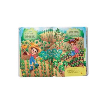 Фото4.Книга 