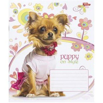 Фото3.Зошит кольоровий 12 аркушів, клітинка (20 штук в упаковці)