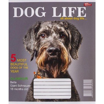 Фото3.Зошит кольоровий 12 аркушів, клітинка (20 штук в упаковці)