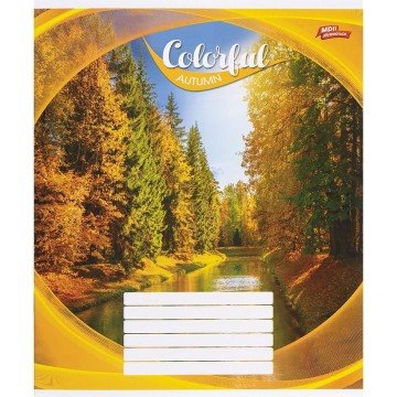 Фото3.Зошит кольоровий 24 аркушів, клітинка (16 штук в упаковці)