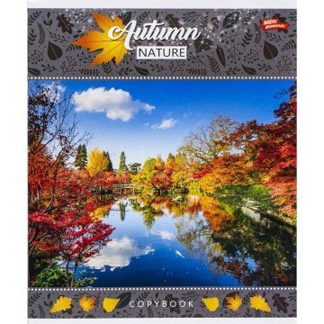 Фото3.Зошит кольоровий 24 аркушів, клітинка (16 штук в упаковці)