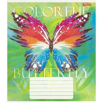 Фото3.Зошит кольоровий 24 аркушів, клітинка (16 штук в упаковці)