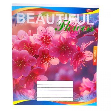 Фото3.Зошит кольоровий 48 аркушів, клітинка (16 штук в упаковці)