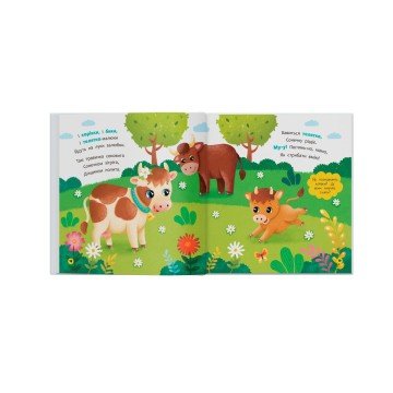 Фото3.Книга 