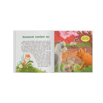 Фото5.Книга 