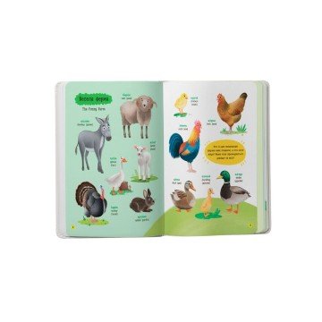 Фото4.Книга 