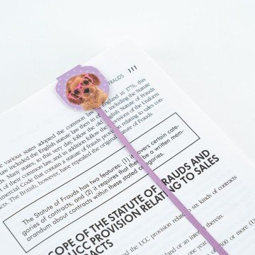 Фото4.Набір магнітних закладок-лясе SP