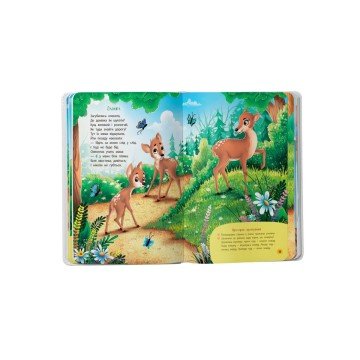 Фото5.Книга 