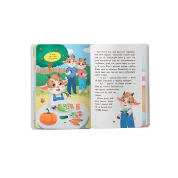 Фото5.Книга 