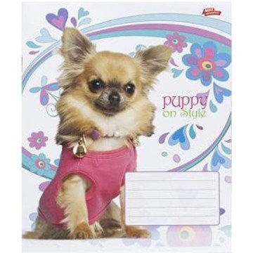 Фото4.Зошит кольоровий 12 аркушів, клітинка (20 штук в упаковці)