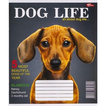 Фото4.Зошит кольоровий 12 аркушів, клітинка (20 штук в упаковці)