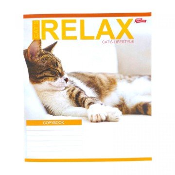 Фото4.Зошит кольоровий 24 аркушів, лінія (16 штук в упаковці)