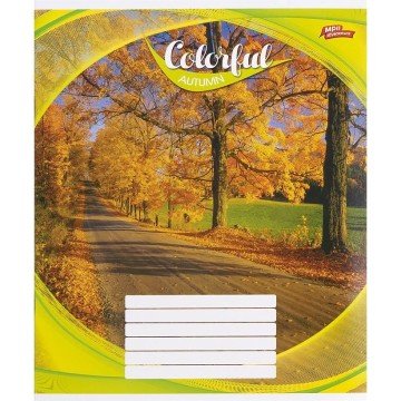 Фото4.Зошит кольоровий 24 аркушів, клітинка (16 штук в упаковці)