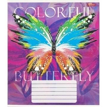 Фото4.Зошит кольоровий 24 аркушів, клітинка (16 штук в упаковці)