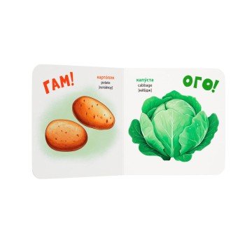 Фото4.Книга 