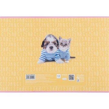 Фото5.Зошит для малювання, 12 арк., скоба, софт тач + УФ лак, SP