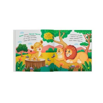 Фото5.Книга 