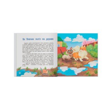 Фото9.Книга 