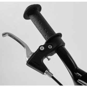 Фото5.Самокат двохколісний 