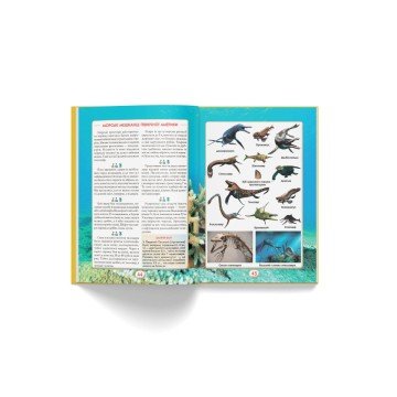 Фото7.Книга 