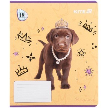 Фото8.Зошит 18 арк., кл., гібр. лак + УФ лак, RH