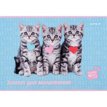 Фото8.Зошит для малювання, 12 арк., скоба, софт тач + УФ лак, SP