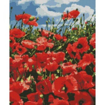 Фото1.Алмазна мозаїка 