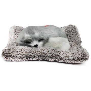 Фото1.Собачка-пухнастик на килимку, вид 6