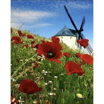 Фото1.Алмазна мозаїка 