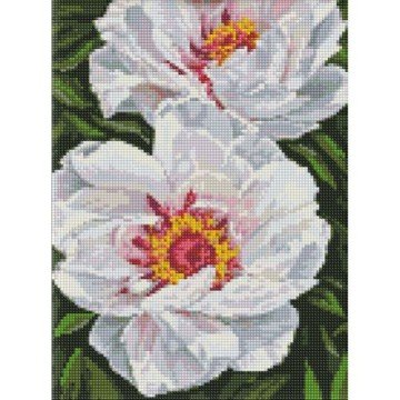 Фото1.Алмазна мозаїка 