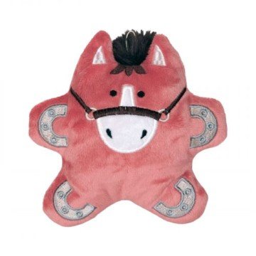 Фото1.Коник 